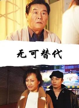 无可替代2006